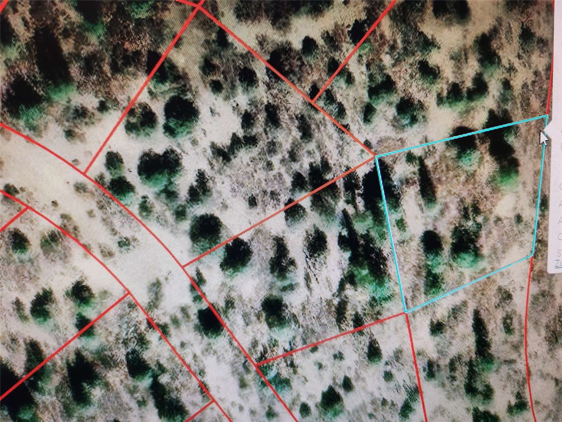 0.46 Acres of Residential Land for Sale in Tierra Amarilla, New Mexico