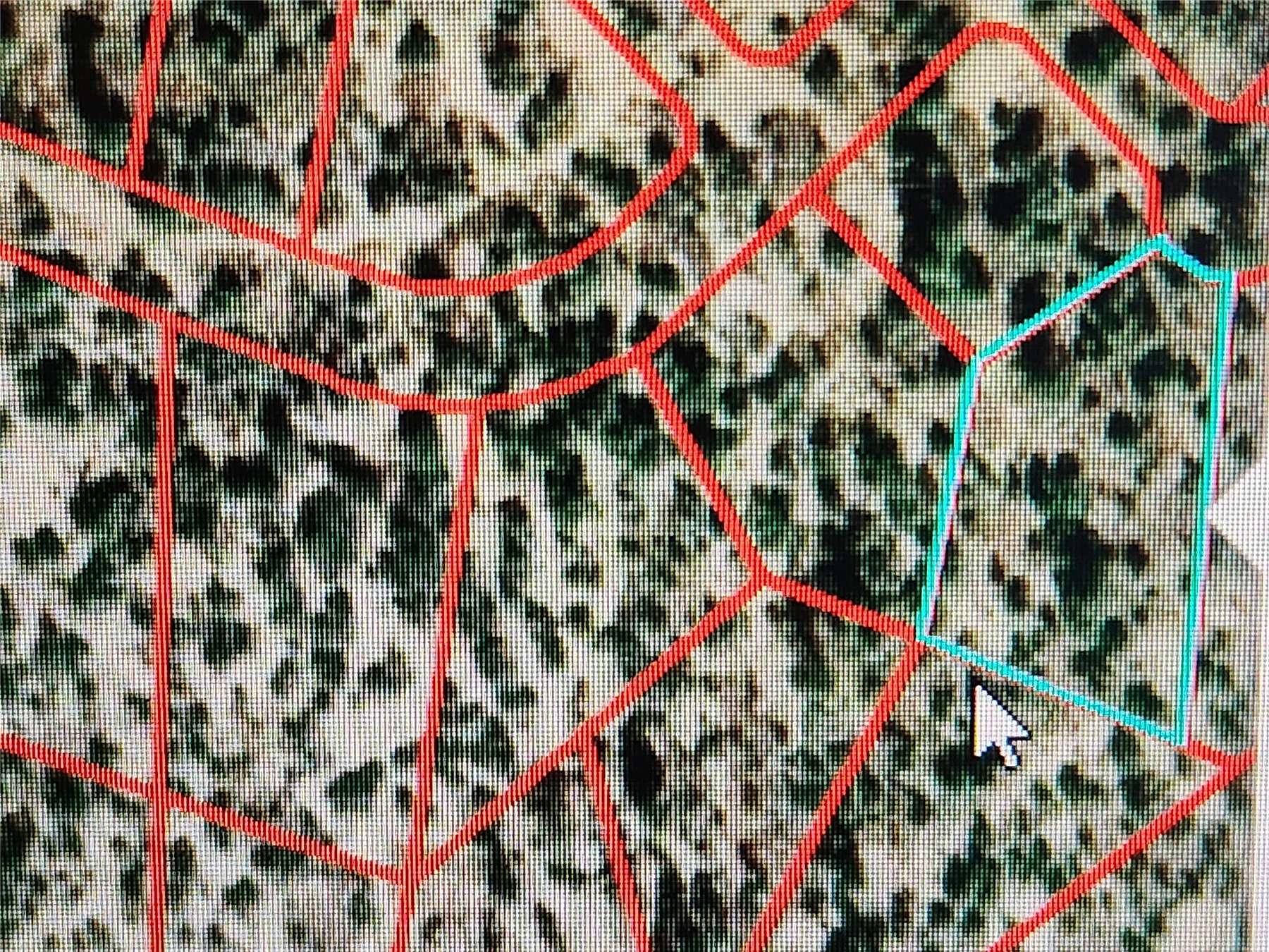 0.83 Acres of Residential Land for Sale in Tierra Amarilla, New Mexico