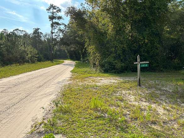50.8 Acres of Land for Sale in Greenville, Florida