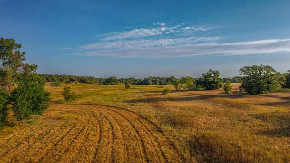 75 Acres of Recreational Land & Farm for Sale in Blue, Texas