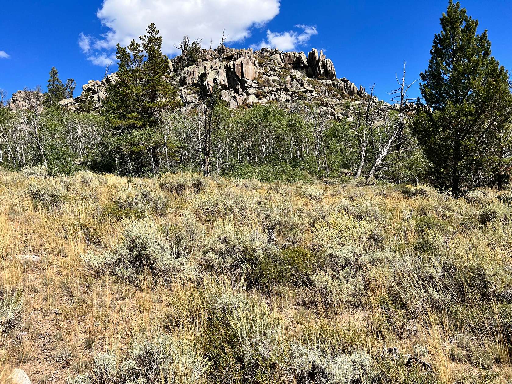 35.5 Acres of Recreational Land for Sale in Lander, Wyoming