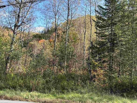 45 Acres of Land for Sale in Corinth, Vermont