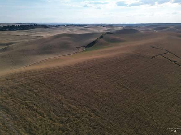 8.4 Acres of Land for Sale in Genesee, Idaho