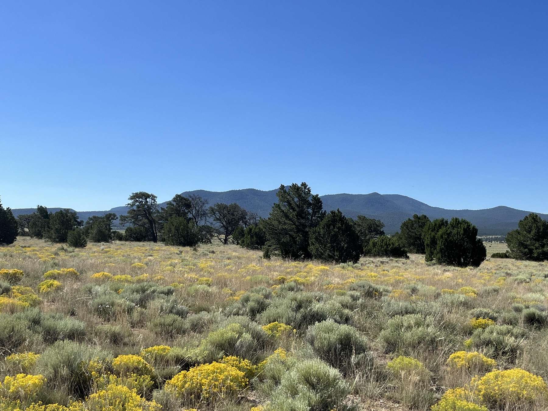 160 Acres of Agricultural Land for Sale in Datil, New Mexico