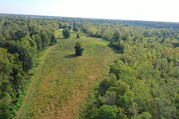 220 Acres of Recreational Land for Sale in Grosse Tete, Louisiana