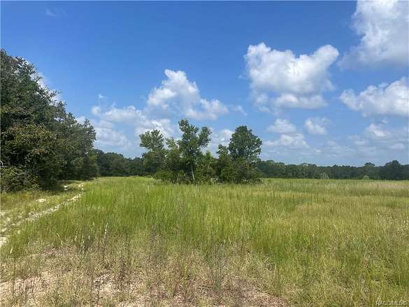 38.9 Acres of Agricultural Land for Sale in Ocklawaha, Florida