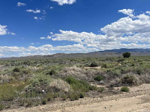 20.01 Acres of Land for Sale in Wellington, Nevada