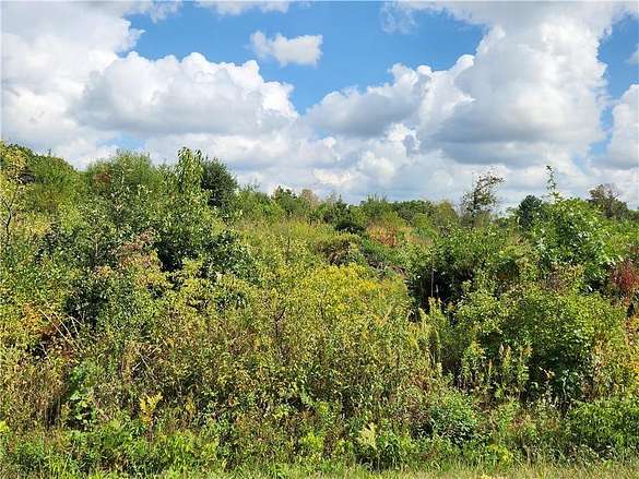 21.4 Acres of Recreational Land for Sale in Taylor, Wisconsin