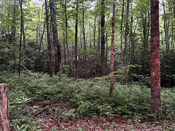 1.2 Acres of Residential Land for Sale in Cashiers, North Carolina