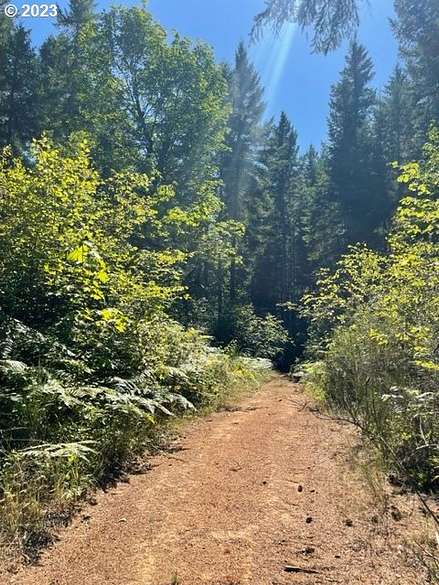 133 Acres of Land for Sale in Noti, Oregon