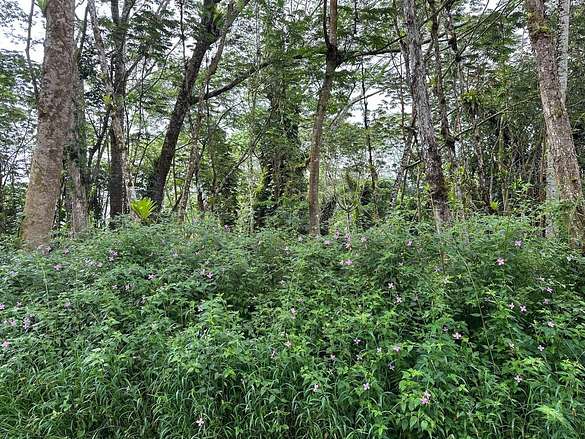 0.185 Acres of Residential Land for Sale in Pahoa, Hawaii