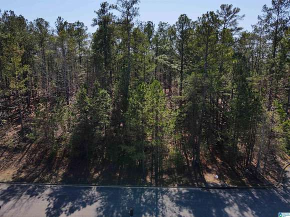 0.4 Acres of Residential Land for Sale in Chelsea, Alabama