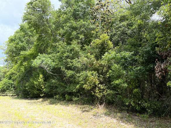 1 Acre of Residential Land for Sale in Chiefland, Florida