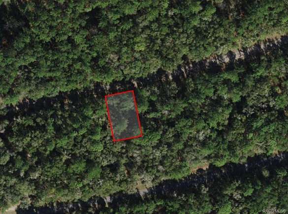 0.24 Acres of Residential Land for Sale in Citrus Springs, Florida