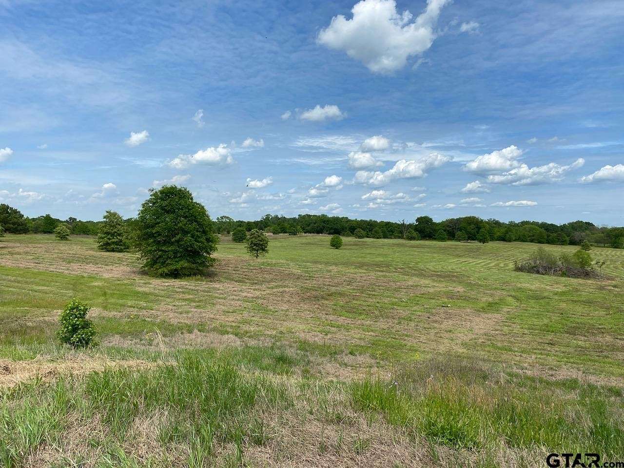 80.1 Acres of Land for Sale in Pittsburg, Texas