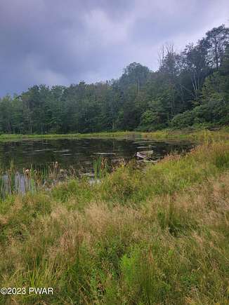 46.9 Acres of Land for Sale in Lake Ariel, Pennsylvania