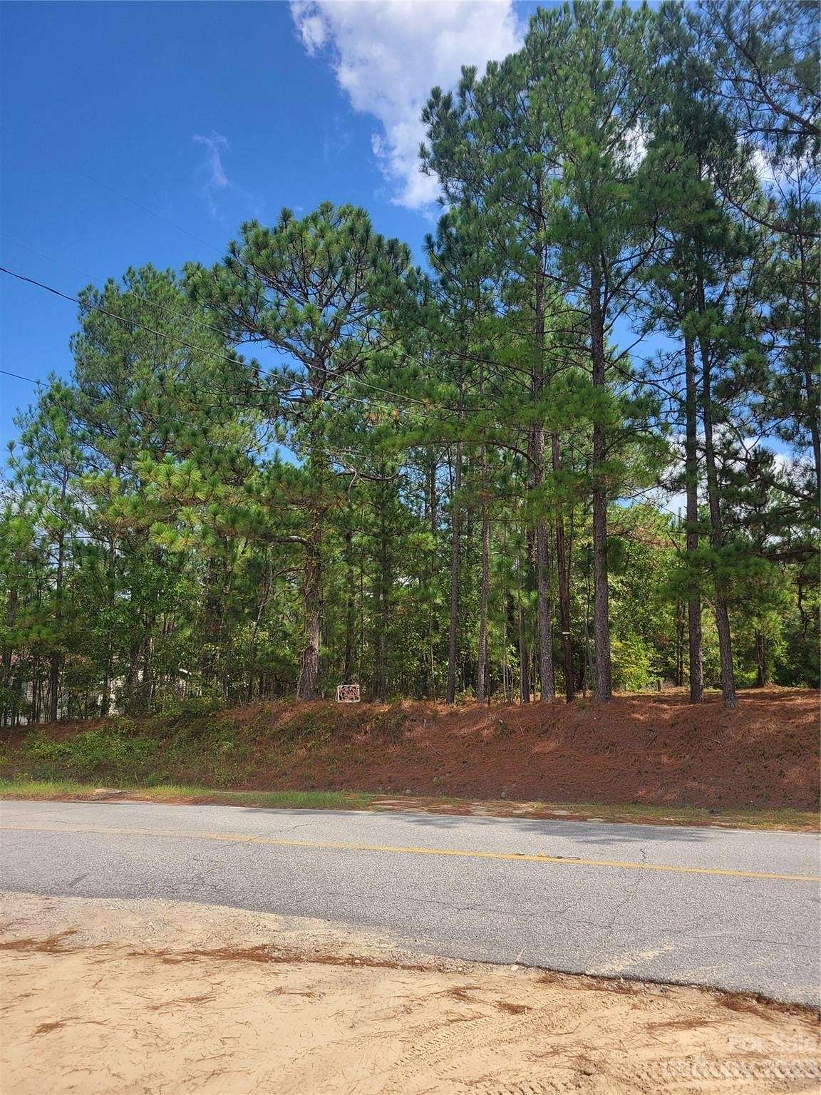10.5 Acres of Land for Sale in Cheraw, South Carolina