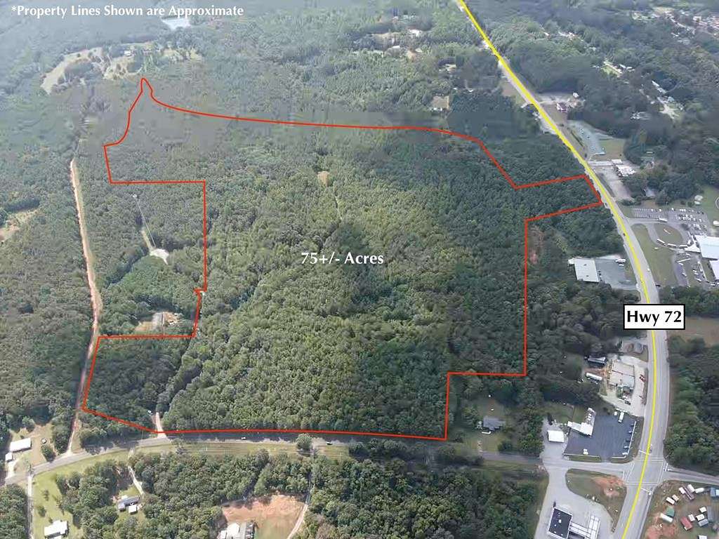 75 Acres of Recreational Land for Sale in Abbeville, South Carolina