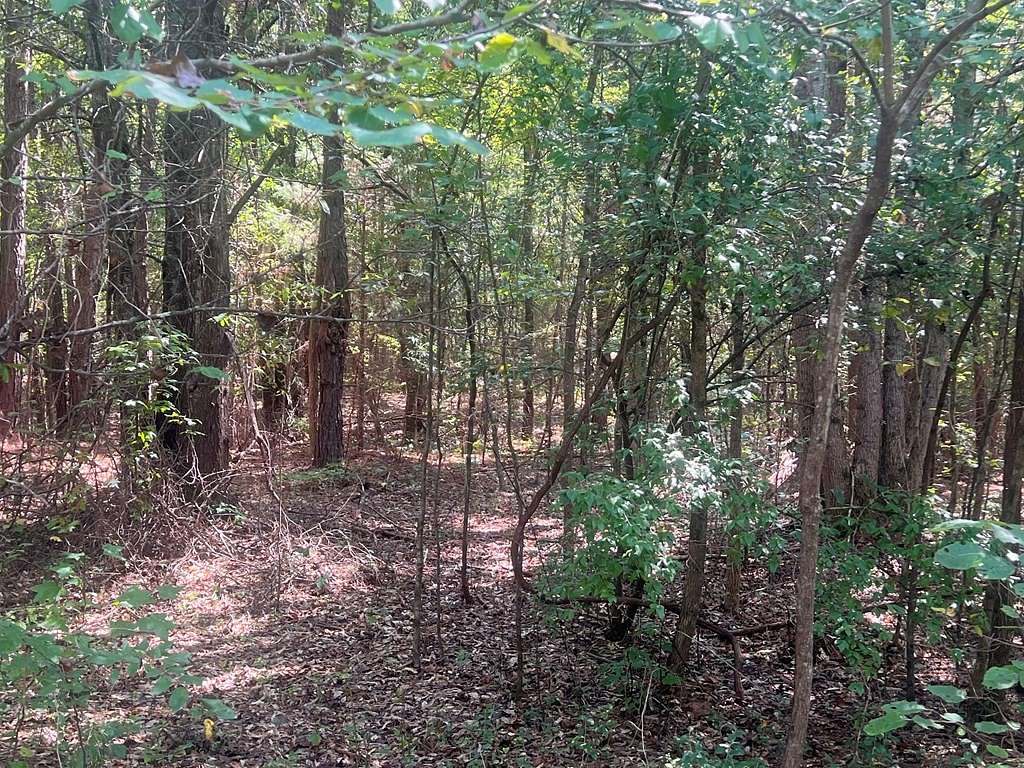 75 Acres of Recreational Land for Sale in Abbeville, South Carolina