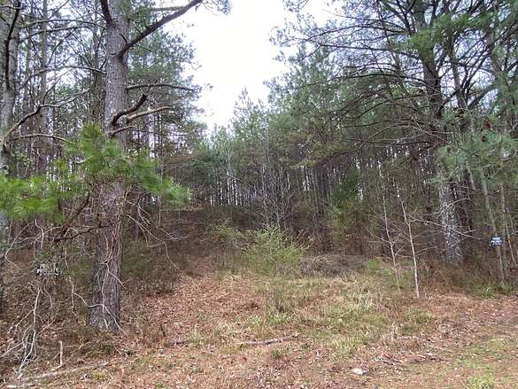 20 Acres of Recreational Land for Sale in Tremont, Mississippi