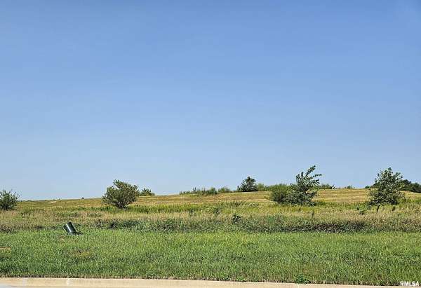 0.29 Acres of Residential Land for Sale in Metamora, Illinois