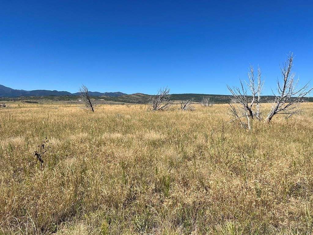 3.91 Acres of Residential Land for Sale in Beulah, Colorado