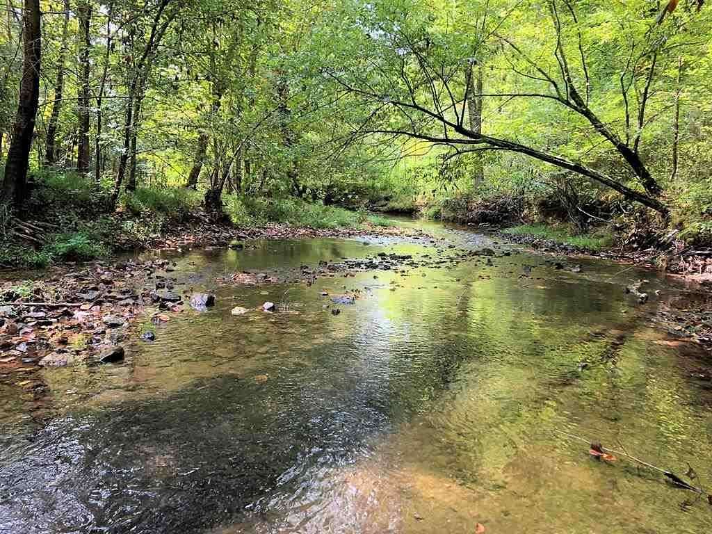 68 Acres of Land for Sale in Killen, Alabama