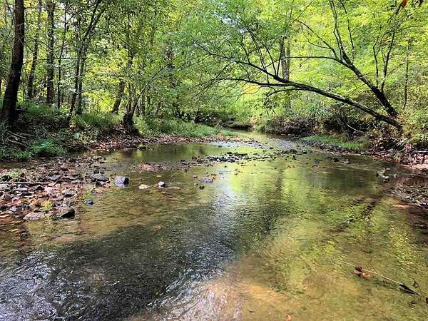 68 Acres of Land for Sale in Killen, Alabama