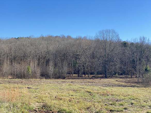 585 Acres of Recreational Land & Farm for Sale in Littleville, Alabama