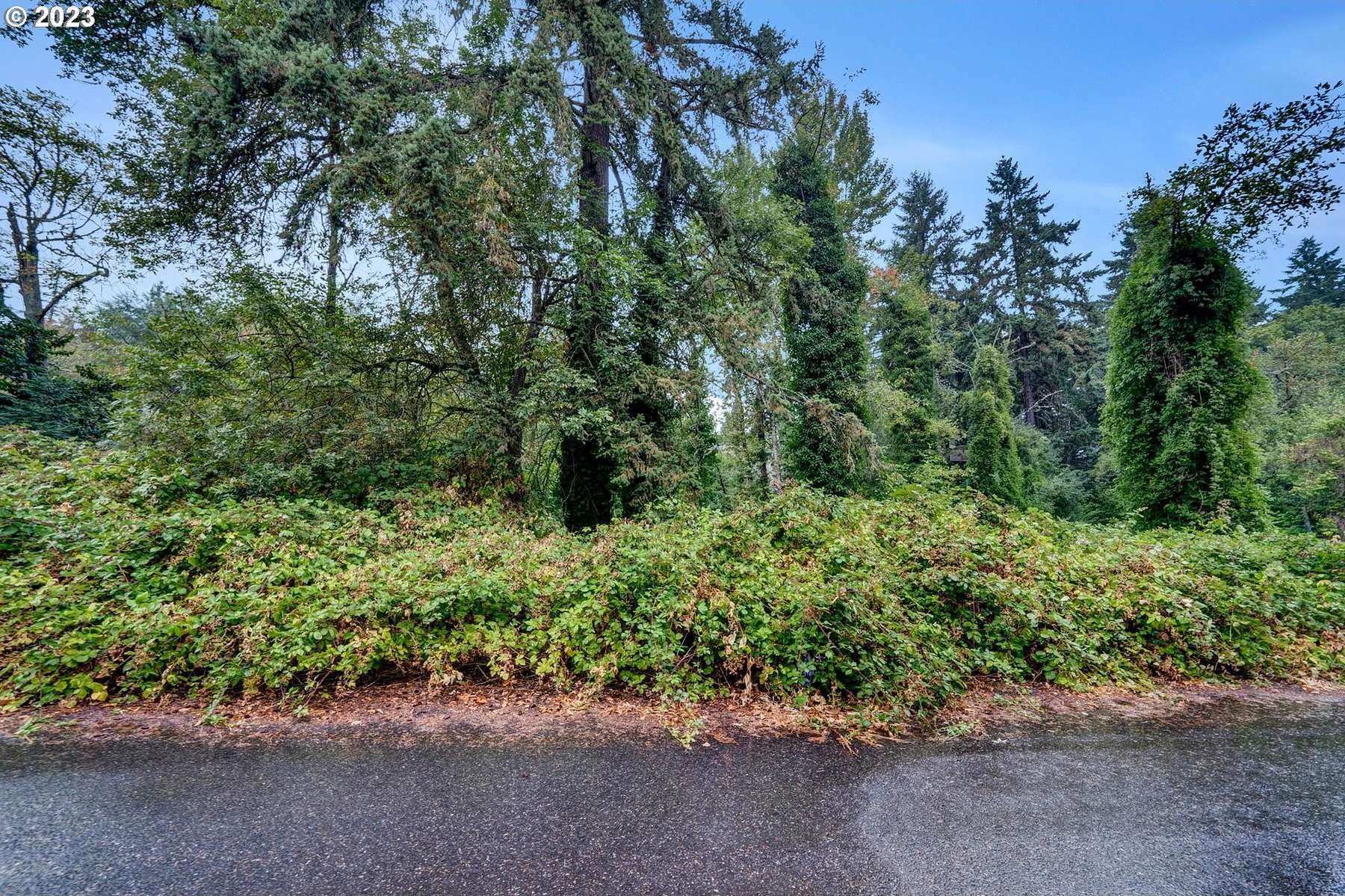 0.34 Acres of Residential Land for Sale in Portland, Oregon