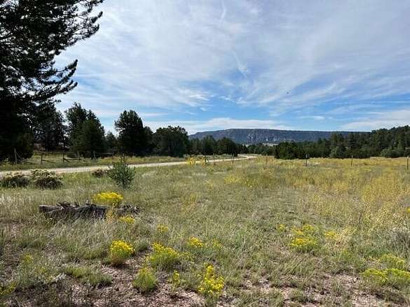 5.5 Acres of Land for Sale in Ramah, New Mexico