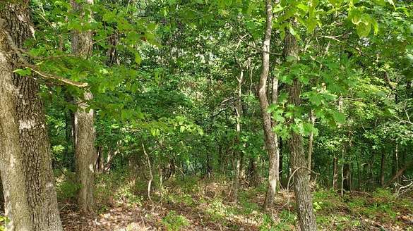 1.5 Acres of Land for Sale in Holiday Island, Arkansas