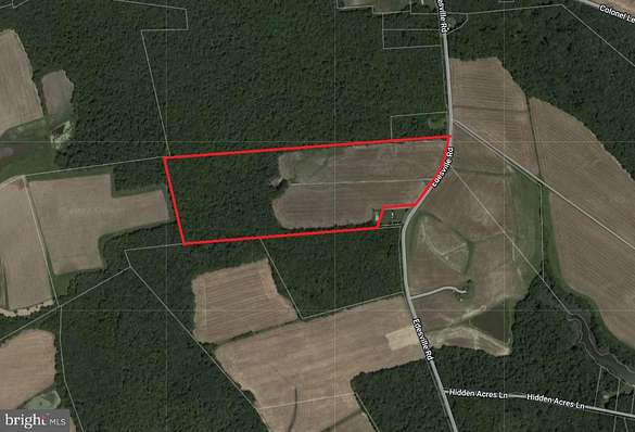 41.6 Acres of Recreational Land & Farm for Sale in Rock Hall, Maryland