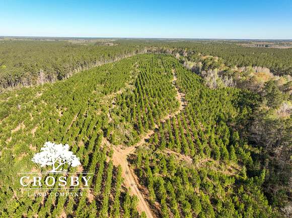 130 Acres of Land for Sale in Islandton, South Carolina