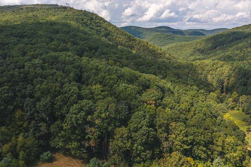 65.5 Acres of Recreational Land & Farm for Sale in Willis, Virginia