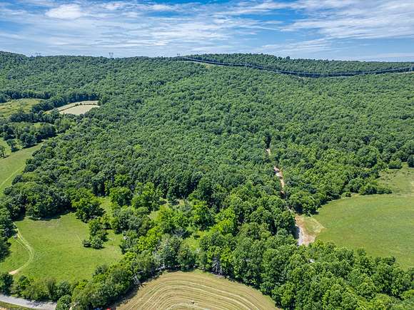65.48 Acres of Recreational Land & Farm for Sale in Willis, Virginia