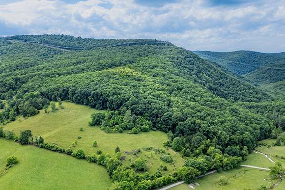 80.87 Acres of Recreational Land & Farm for Sale in Willis, Virginia