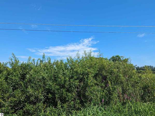 0.38 Acres of Residential Land for Sale in Au Gres, Michigan