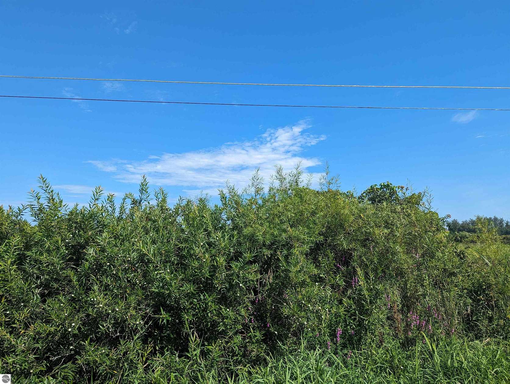 0.38 Acres of Residential Land for Sale in Au Gres, Michigan
