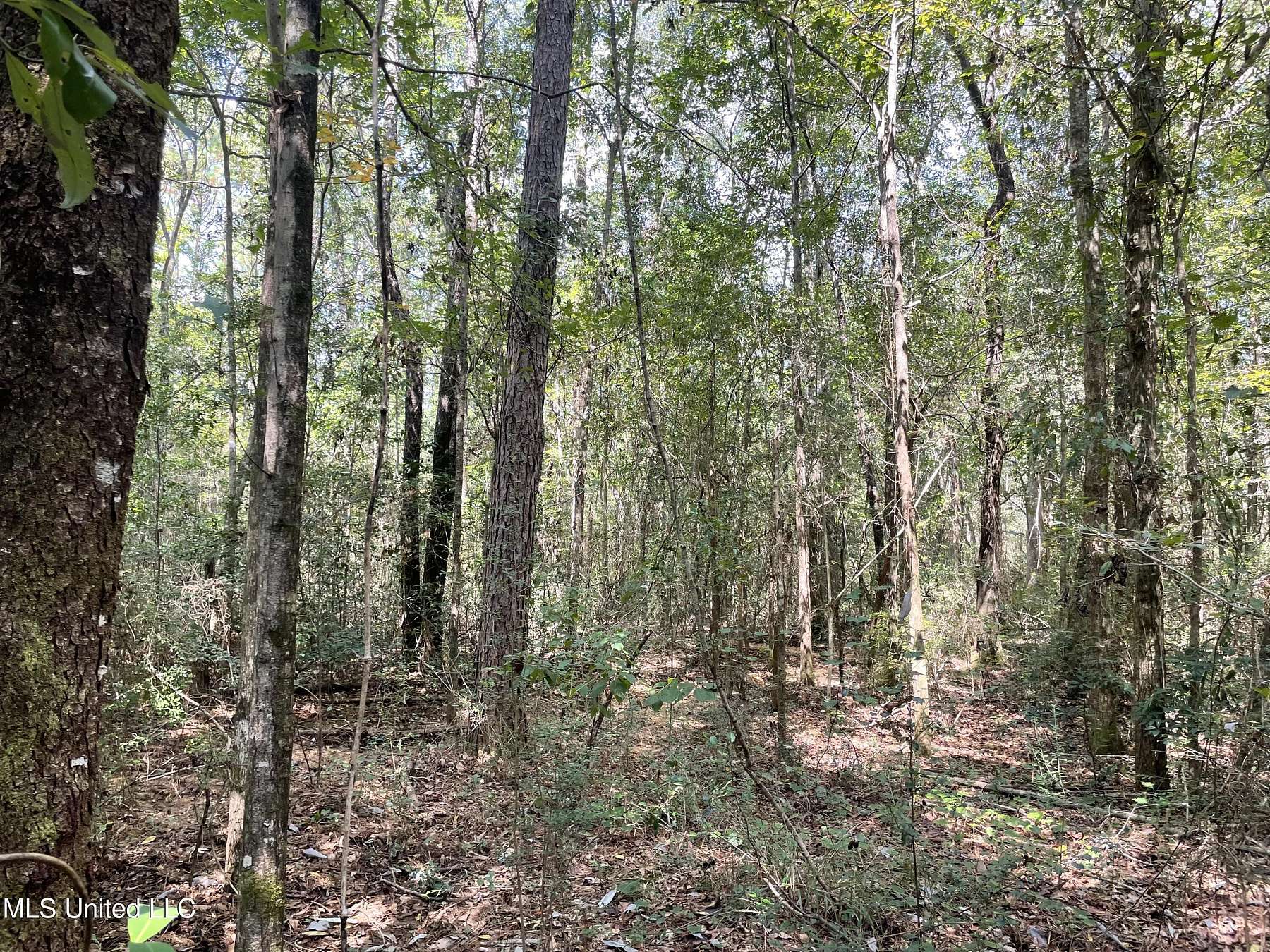 2 Acres of Residential Land for Sale in Vancleave, Mississippi