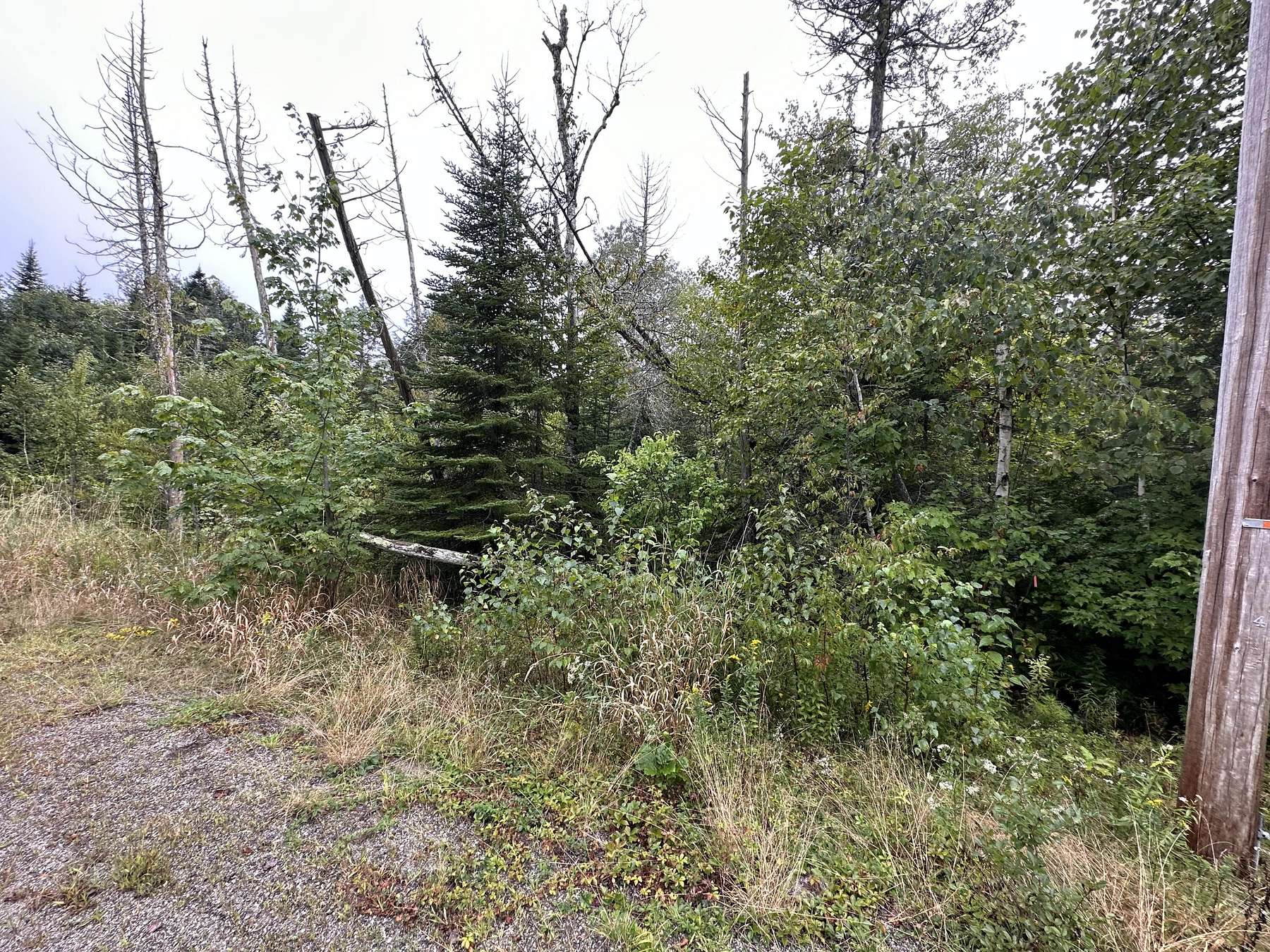 1.9 Acres of Residential Land for Sale in Ellsworth, Maine