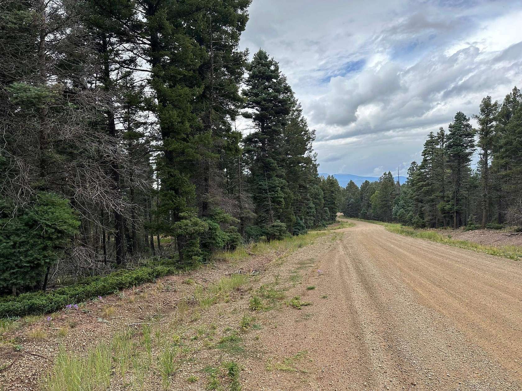 0.75 Acres of Land for Sale in Angel Fire, New Mexico