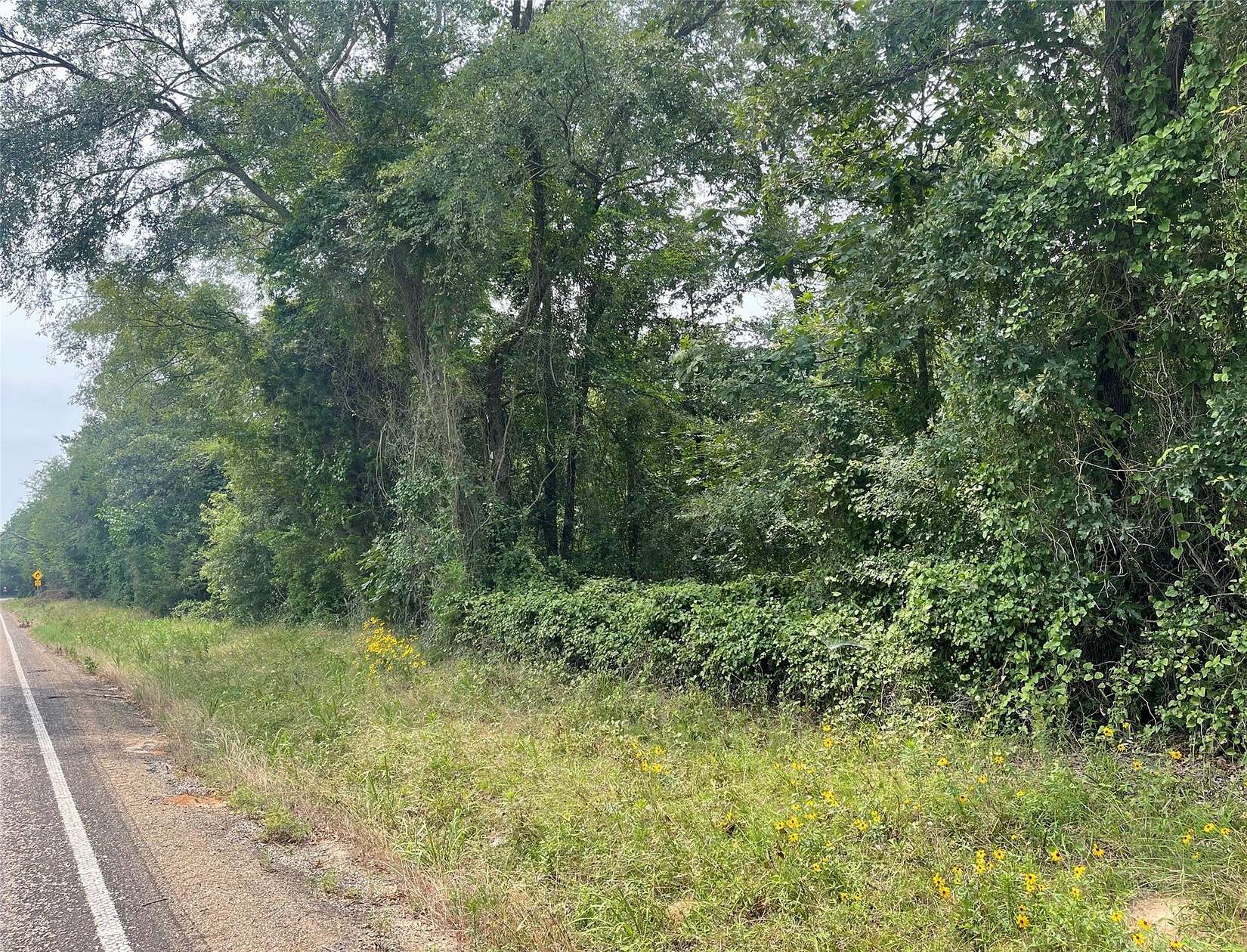 1.38 Acres of Residential Land for Sale in Pittsburg, Texas