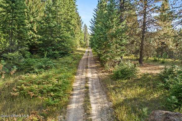 5.4 Acres of Residential Land for Sale in Harrison, Idaho