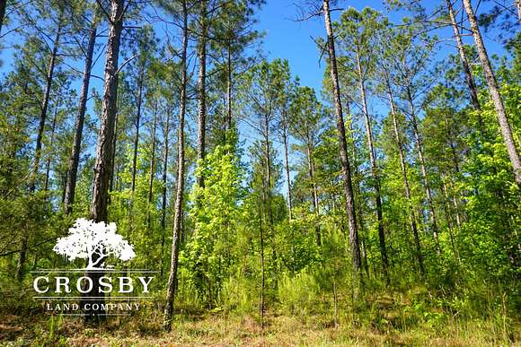 122 Acres of Recreational Land for Sale in Troy, South Carolina
