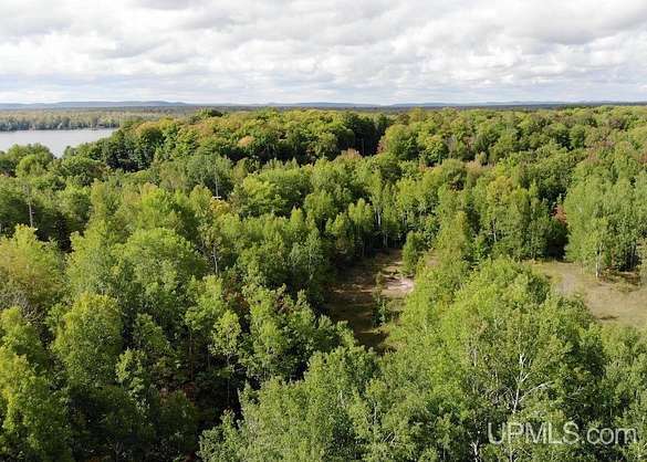 15.5 Acres of Recreational Land for Sale in Bergland, Michigan