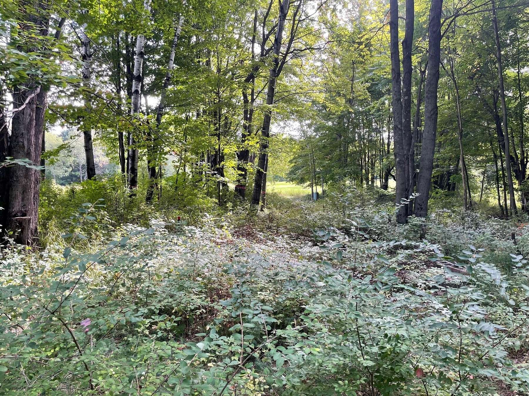 0.63 Acres of Land for Sale in Harbor Springs, Michigan
