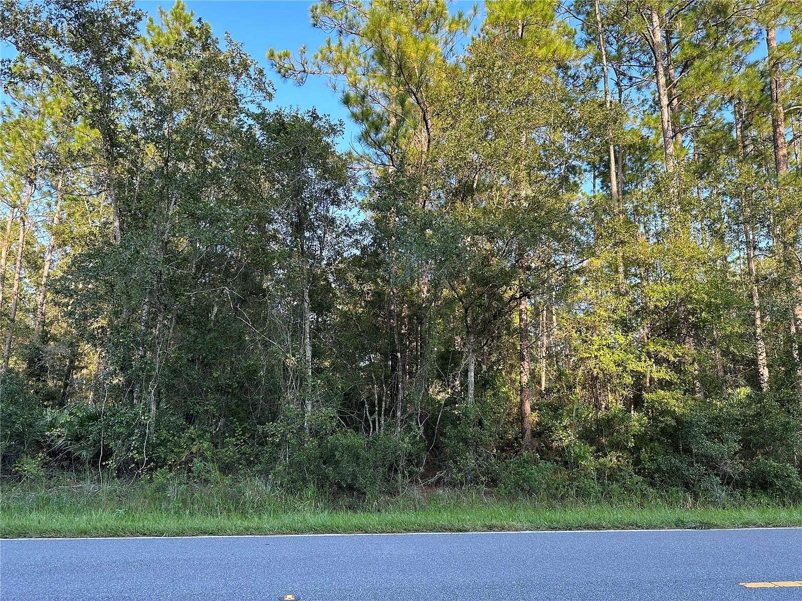 0.23 Acres of Residential Land for Sale in Palatka, Florida