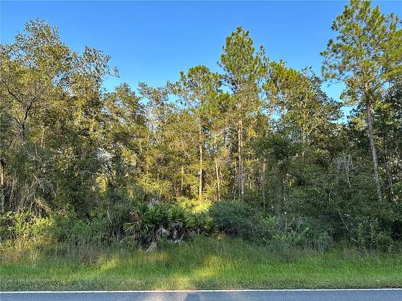 0.23 Acres of Residential Land for Sale in Palatka, Florida