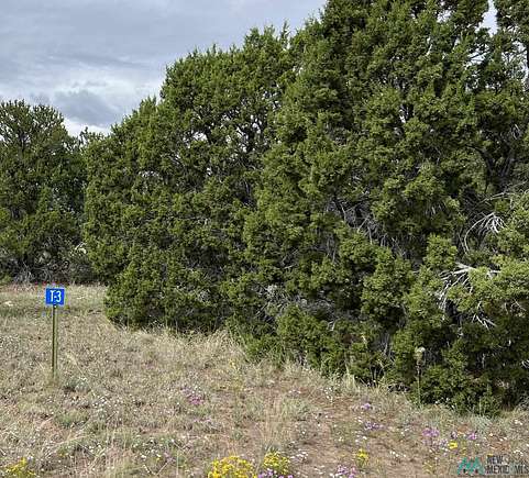 1.5 Acres of Residential Land for Sale in Quemado, New Mexico